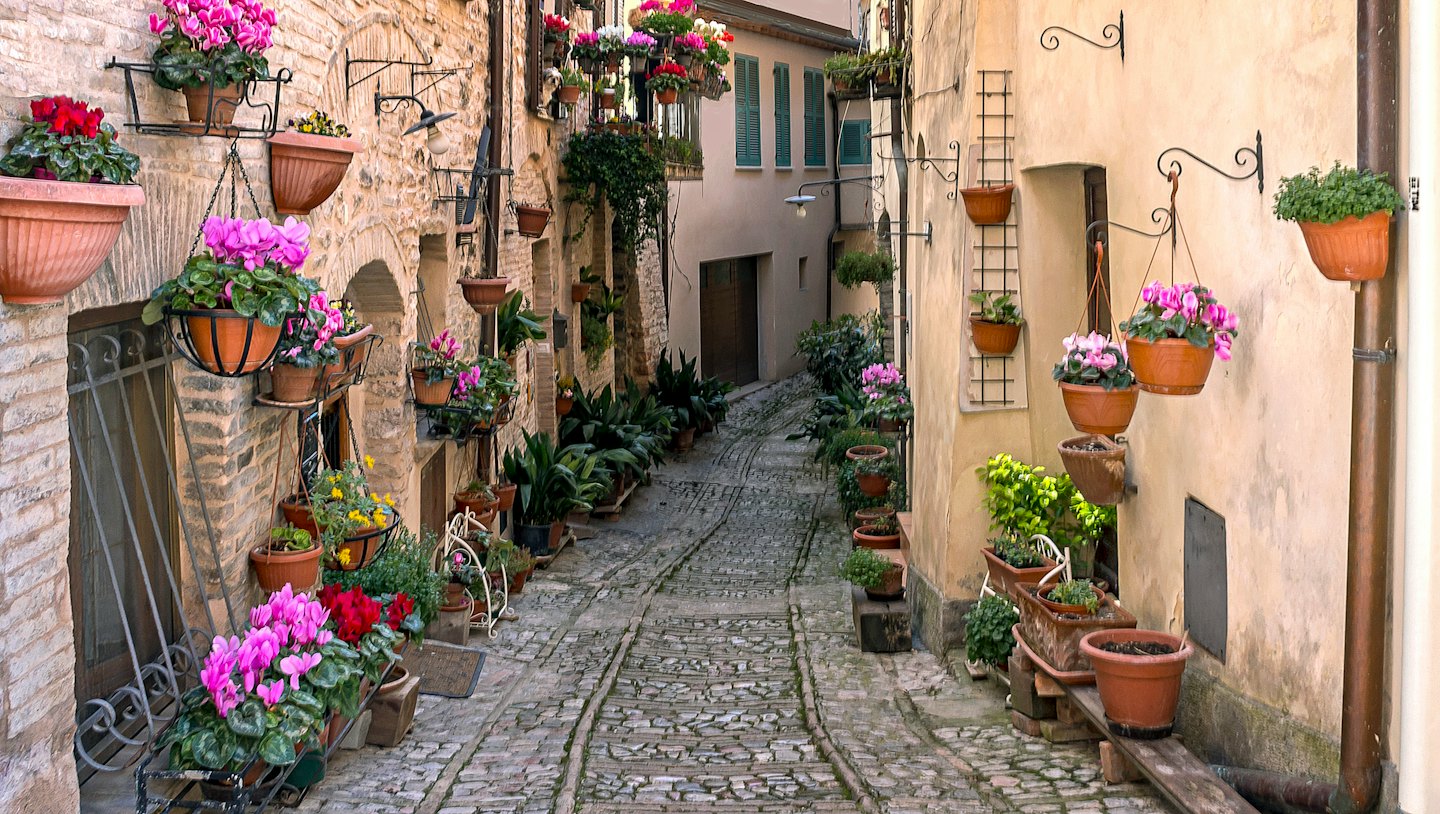 Cobblestone alleyway with colorful flowers and buildings.